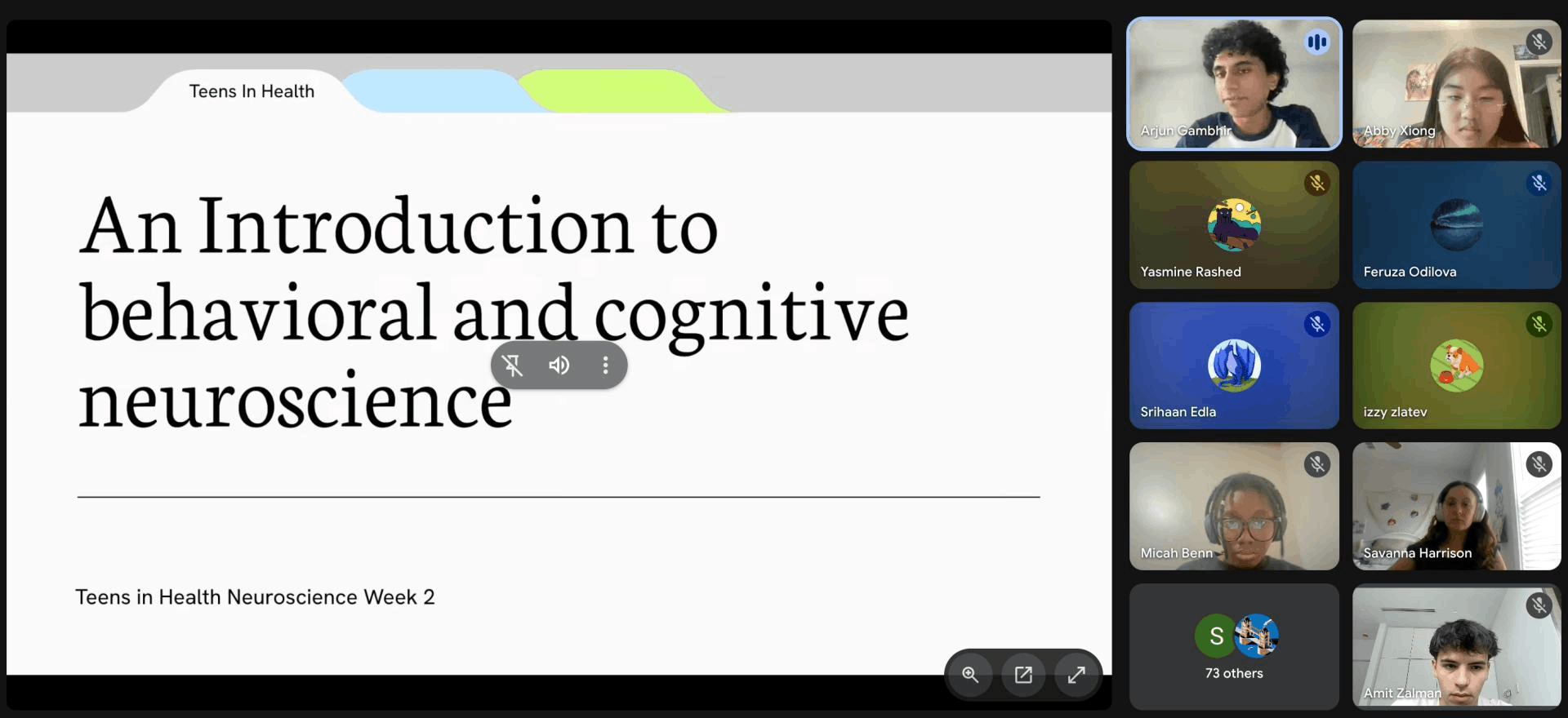 Teens in Health online neuroscience class