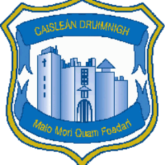 Drimnagh Castle Secondary School crest
